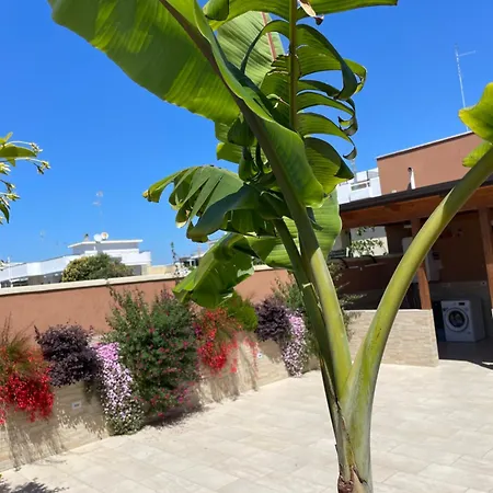 住宿加早餐酒店 Caramel House &