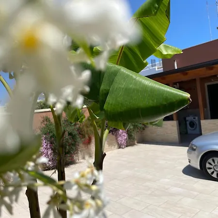 Bed & Breakfast Caramel House & 4*