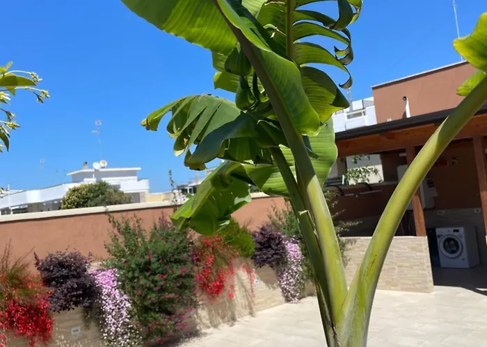 לינה וארוחת בוקר Caramel House &